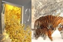 15 ngày (từ 15-30/10) vận đỏ phủ kín: 3 con giáp càng làm càng giàu, tiền đẻ ra tiền, Tết tiêu không hết
