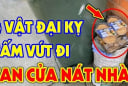 4 đồ vật cũ trong nhà đừng dại vứt đi kẻo tan cửa nát nhà