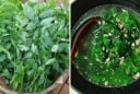 Tài sao bạn nên vò rau ngót trước khi nấu?