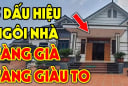 5 dấu hiệu ngôi nhà có phong thủy tôt Tàng Long Tụ Khí: Càng ở càng giàu có