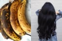 Mẹo ủ tóc bằng chuối chín thâm đen vừa tiết kiệm, vừa giúp tóc giảm rụng, nhanh dài