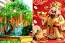 4 loại cây là ‘báu vật của Thần Tài’, trồng trong nhà để trấn trạch, gọi tài lộc
