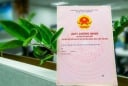 Hàng triệu người được hưởng lợi từ Luật Đất đai mới 2025: Những quyền lợi đặc biệt không thể bỏ lỡ