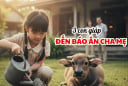 3 con giáp này, nếu là con bạn, chúng đến để Báo Ân, phúc vượng lộc to