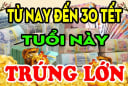 Từ nay tới 30 Tết Nguyên Đán 2026: 3 tuổi Tổ Tiên Độ mạng, tiền vàng bủa vây, công danh thăng tiến