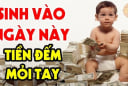 4 ngày sinh Hút Tiền nhanh như chớp, ăn Tết Bính Ngọ 2026 tưng bừng