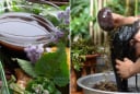 4 loại nước gội đầu chống rụng tóc, giúp đen bóng, tóc con mọc lên không ngừng