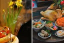Giờ đẹp thắp hương ngày mai – Mùng 1 tháng 9 Âm lịch 2025: Gia đạo bình an, sung túc