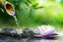 3 khổ nạn lớn nhất cuộc đời theo lời Phật dạy, vượt qua được ắt sống an nhàn hưởng phúc