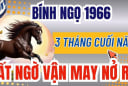 3 tuổi mệnh bùng sáng như pháo hoa, Giàu Có Vô Biên sau ngày 22/10