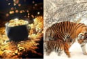 0h Thứ Bảy (25/10): 3 con giáp sau 1 đêm thấy ví nặng trĩu, Chủ Nhật thành ông hoàng thịnh vượng