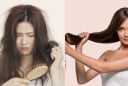 Cách giúp chống rụng tóc, khô tóc trong mùa đông khô hanh