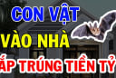4 loài vật nhìn đáng sợ nhưng là Đệ TửThần Tài: Vào nhà đừng vội đuổi chúng đi