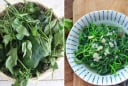 Loại lá nhiều canxi gấp 2 lần ớt, đem nấu canh giúp thanh nhiệt, cực kỳ bổ dưỡng