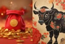 3 con giáp vận may đạt đỉnh tháng 11, tiền căng ví tháng 12, sang 2026 giàu nhất thiên hạ