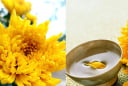 Vì sao người xưa vừa mừng vừa sợ ngày Trùng Cửu 9/9, và lại lên núi uống rượu hoa cúc vàng?