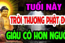 Đẹp Người - Tốt Nết, 3 tuổi Phật Thương Phật Độ, viên mãn đến già