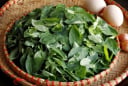 Loại rau quen thuộc trong vườn nhà Việt vượt mặt thịt bò: Giàu sắt bậc nhất, giúp hạ huyết áp, giải độc cơ thể