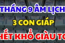 Nửa đầu tháng 11 dương lịch, 3 con giáp Tiền Tự Chui Vào Túi, phú quý bạt ngàn