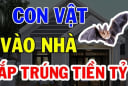 4 con vật vào nhà mang theo phúc khi: Đừng dại đuổi đi