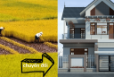 Điều kiện, thủ tục chuyển đất trồng lúa sang đất ở nông thôn