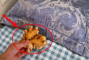 Đặt gừng dưới gối trước khi ngủ, nhận ngay 5 lợi ích tuyệt vời