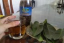 Cách hãm nước lá vối uống vào mát gan, thải độc