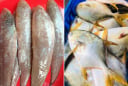 5 loại cá thịt dày, ít xương lại giàu đạm, bổ như tổ yến