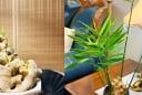 Chậu gừng phong thủy - bí quyết hút vượng khí, thịnh vượng cho gia đình