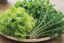 3 loại rau rẻ như cho ở Việt Nam bất ngờ lọt top thế giới – mọc hoang cũng thành “kho báu dinh dưỡng”