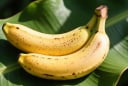 Ăn chuối lúc đói, cơ thể có 5 thay đổi bất ngờ