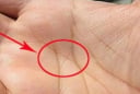 Người giàu sang dễ nhận biết: 3 dấu hiệu trên bàn tay tiết lộ tài lộc theo nhân tướng học