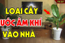 5 cây âm mọc ở quanh nhà hút cạn Phúc -Lộc, chặt bỏ ngay đừng tiếc