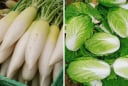 5 loại rau củ mùa đông an toàn bậc nhất, đi chợ gặp được nên mua ngay
