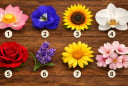  Quiz: Chọn 1 bông hoa để khám phá tài năng tiềm ẩn mà bạn chưa khai phá trong mình
