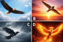 Quiz: Chọn 1 hình ảnh cánh chim sẽ hé lộ tuổi già của bạn an nhàn giàu sang hay chật vật khốn cùng?