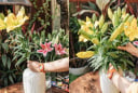Mẹo cắm hoa cả tuần không héo, Tết này áp dụng ngay