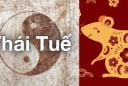 Năm 2026 Bính Ngọ: 4 con giáp phạm Thái Tuế vướng thị phi, hao tài, 1 tuổi dù không phạm vẫn lao đao