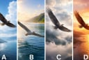 Quiz: Chọn 1 cánh chim để biết con đường bạn đang đi sẽ dẫn tới đâu trong thời gian tới