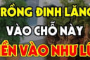 Vị trí tốt nhất trồng cây đinh lăng để hút tài lộc: Đặt đúng chỗ như “thần giữ của”, gia chủ phát lộc