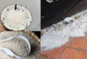 Cách rắc muối, gạo sau khi cúng để tránh rước xui xẻo, cả năm bình an