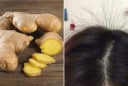 Cách gội đầu bằng gừng trị rụng tóc, kích thích tóc con mọc tua tủa