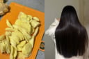 4 lý do nên gội đầu bằng nước gừng tươi