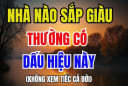 3 dấu hiệu báo trước nhà bạn sắp may mắn