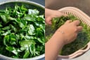 Vì sao người ta phải vò nát rau ngót trước khi nấu?