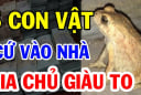 5 con vật vào nhà Thần Tài ghé thăm: Càng ở lâu càng giàu có