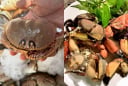 Cúm núm Quảng Ngãi: Đặc sản cua lạ “nhỏ mà ngon”, ai ăn thử cũng nhớ