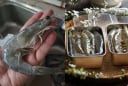 Mẹo bảo quản tôm bằng đường, để cả tháng vẫn tươi ngon, chắc thịt