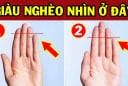 Người phú quý hơn người trên bàn tay có 4 điểm này: Kiểm tra ngay xem bạn có không?