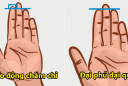 5 dấu hiệu trên lòng bàn tay của người giàu có, phúc khí dồi dào